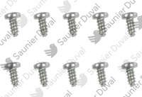 Vis (x10) Saunier Duval S1250200
