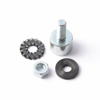 Ensemble visserie pour anode Thermor 551457