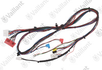 Faisceau Vaillant 0020135156