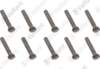 Vis (x10) Vaillant 0020135525