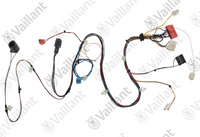 Faisceau Vaillant 0020200714