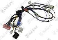 Faisceau Vaillant 0020200715