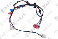 Faisceau Vaillant 0020210208