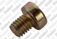Vis de cylindre iso 1207 Vaillant 105760