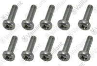 Vis (x10) Vaillant 105907