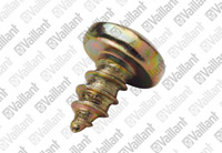 Vis Vaillant 490414