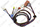 Faisceau cellule thermique Vaillant 0010029291
