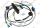 Faisceau, 230v Vaillant 0010047814