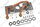 Panneau Vaillant 0020046782