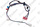 Faisceau Vaillant 0020210208