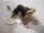 Kit filtre eh902 Chapp&eacute;e 7705210