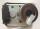 Motoreducteur synchrone 1 rpm d64 Palazzetti 895718331