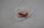 Cable electrode ionisation De Dietrich JJD710127500